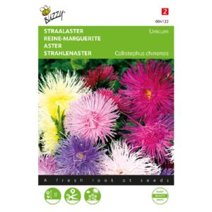 Buzzy® Callistephus, Ray Aster Unicum, mixed