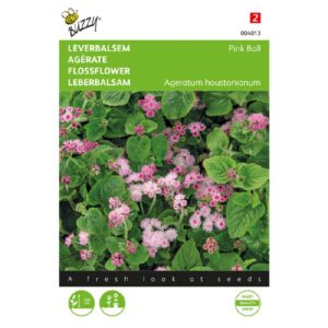 Buzzy® Ageratum, Liver Balm Pink Ball