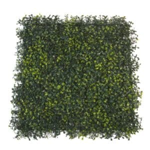 Buxus Variegated Artificial Wall - 50x50cm