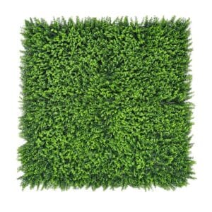 Buxus Artificial Wall - 100x100cm