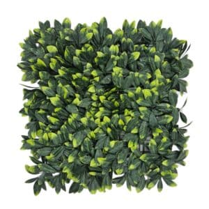 Buxus XL Variegated Artificial Wall - 50x50cm