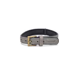 Beeztees Balacron Ax Dog Collar Gray – 31-39cm x 20mm