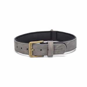 Beeztees Balacron Ax Dog Collar Gray – 47-57cm x 30mm