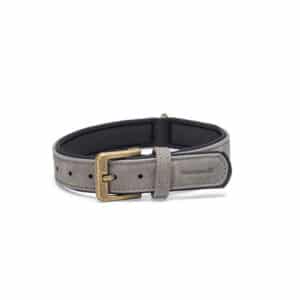 Beeztees Balacron Ax Dog Collar Gray – 36-44cm x 20mm