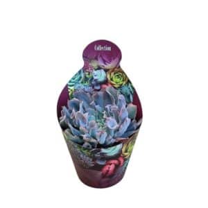 Echeveria 'Trumpet Pinky' In Pot 14cm