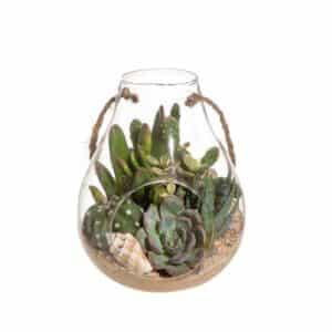 Cactus And Succulent Composition With Shells In Glass 12cm