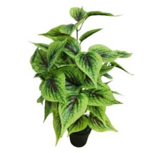 Artificial Coleus Plant H50cm