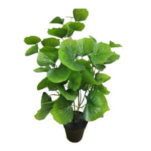Artificial Leopard Plant H50cm