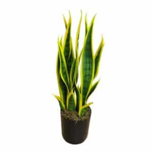 Artificial Sansevieria H50cm