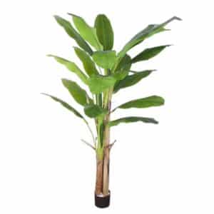Artificial Banana Tree 3 Trunk H180cm