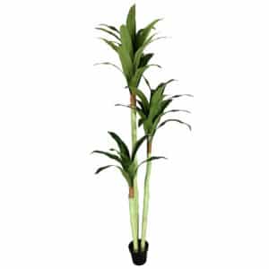 Artificial Dracaena Fragrans H220cm