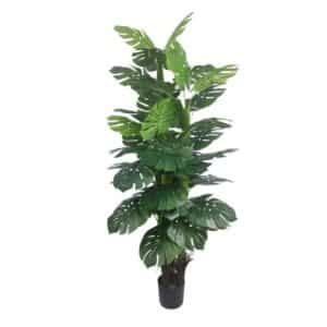 Artificial Monstera Deliciosa H180cm