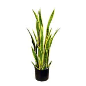 Artificial Sansevieria H100cm
