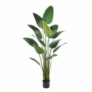 Artificial Traveler Banana H180cm