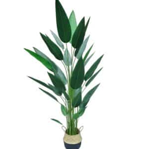 Artificial Strelitzia Reginae H210cm