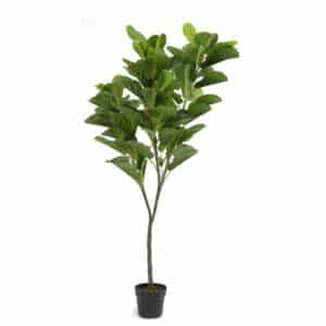 Artificial Ficus Lyrata Tree H160cm