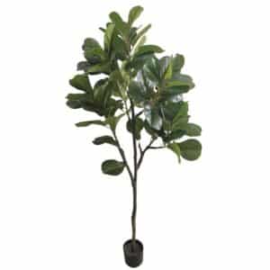 Artificial Ficus Lyrata Tree H170cm