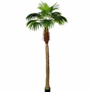 Artificial Palm Tree with Trunk H250cm