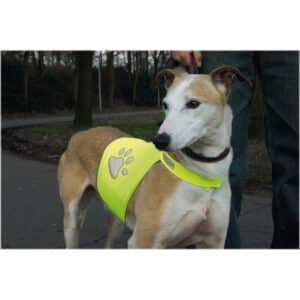 Beeztees Safety Gear Dog Safety Vest Yellow Small