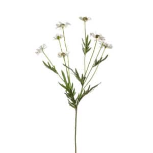 Artificial Daisy Wild Spray 75cm Cream