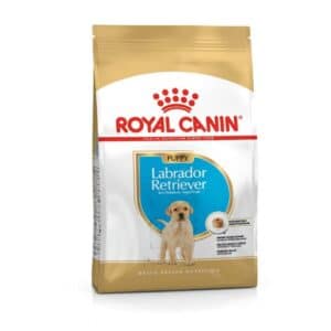 Roya Canin Breed Labrador Puppy 3 Kg