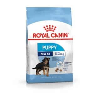 Royal Canin Maxi Puppy x 15 Kg