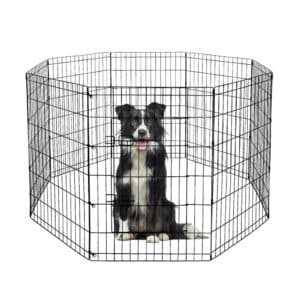 8-Panel Tall Iron Pen With 1 Door - D160cm