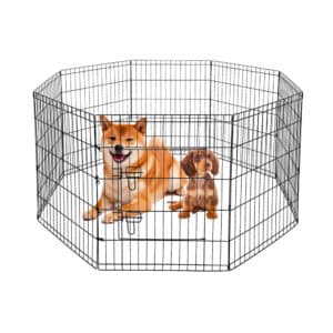 8-Panel Iron Pen With 1 Door - D160cm