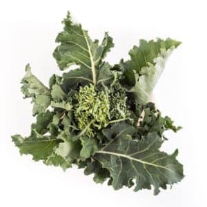 Broccolo Di Natale Riccio