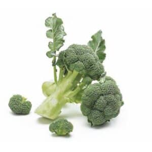 Cavolo Broccolo Da Ricacci Tip.Green