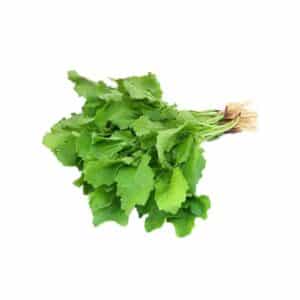 Senapo (Mustard) 12 Seedlings
