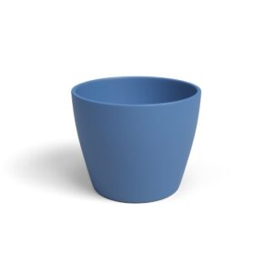 Nubia Cactus Pot 9cm Blue