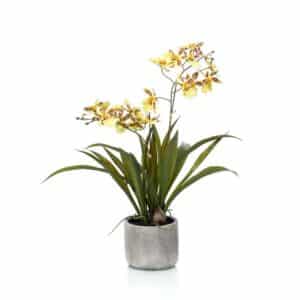 Artificial Oncidium Yellow/Brown H45cm In Ceramic Pot