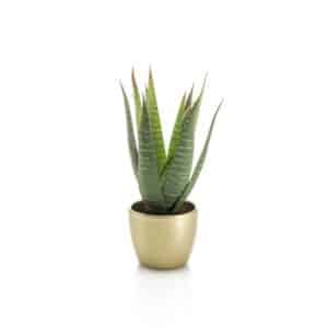 Artificial Aloe Vera H30cm in Pearlgold Pot