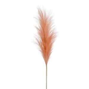 Artificial Pampas Stem Peach 115cm