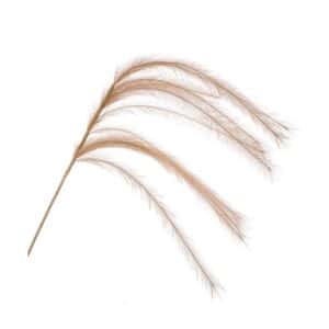 Artificial Feather Spray Beige 135cm