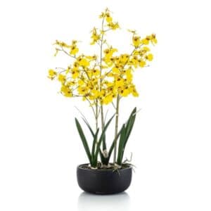 Artificial Oncidium Orchid Yellow H68cm in Pot