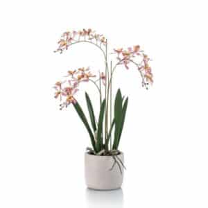Artificial Renanthera Orchid Pink H56cm in Pot