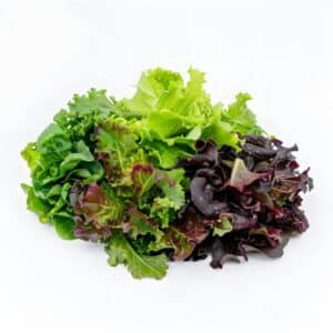 Lattuga Lollo / Lollo Lettuce Mix