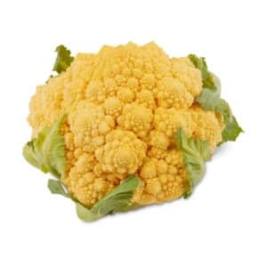 Romanesco Cauliflower 'Amo 125' (Cavolfiore Arancione) 6 Seedlings