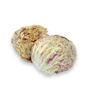Variegated Radicchio of Lusia (Radicchio Di Lusia) 12 Seedlings