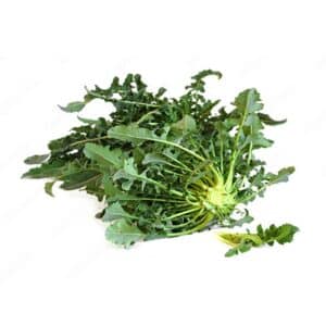 Spigarello Broccoli (Cavolo Broccolo Fiolaro) 6 Seedlings