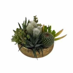 Succulent Arrangement In Bronze Bowl 14cm