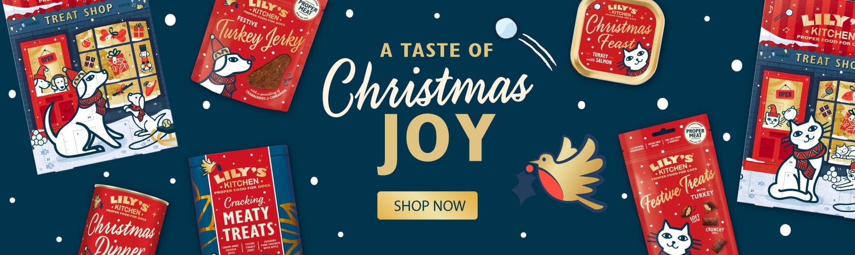 2025-Christmas-Lilys-Kitchen-Banner