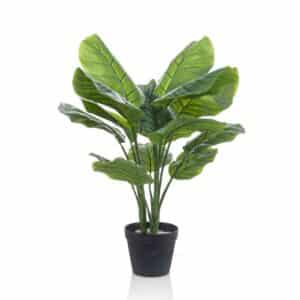 Artificial Calathea Orbifolia H70cm in Pot