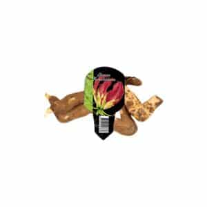 Gloriosa Rothschildiana - Exotic Flame Lily (x2)