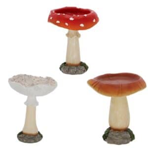 Birdbath Mushroom Assorted