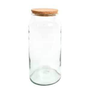 Half-Open Terrarium Bottle Large