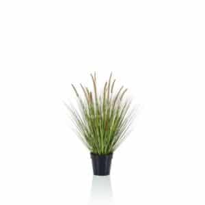 Artificial Pennisetum Grass H71cm in Black Pot