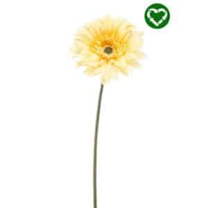 Artificial Gerbera Spray Recycled Light Yellow L63cm
